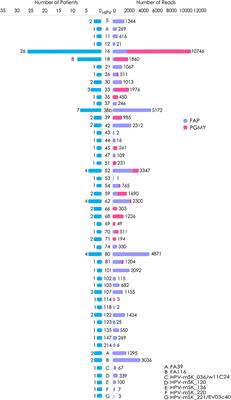 Detection of Alpha, Beta, Gamma, and Unclassified Human Papillomaviruses in Cervical Cancer Samples From Mexican Women